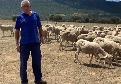 Mas ganado inmovilizado, sin pasto por otro pretexto sanitario