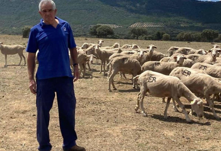 Mas ganado inmovilizado, sin pasto por otro pretexto sanitario