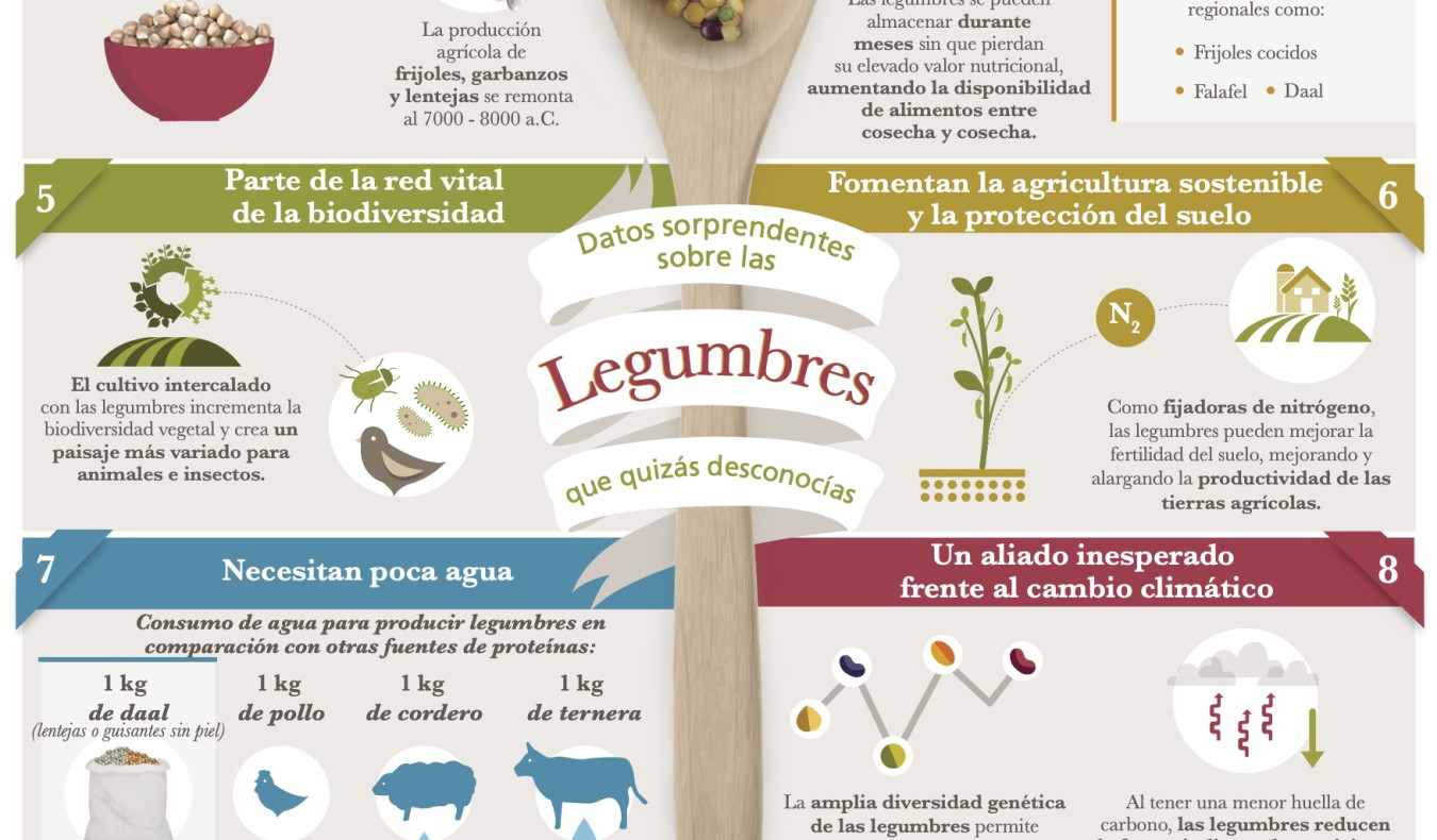 Las legumbres y sus beneficios