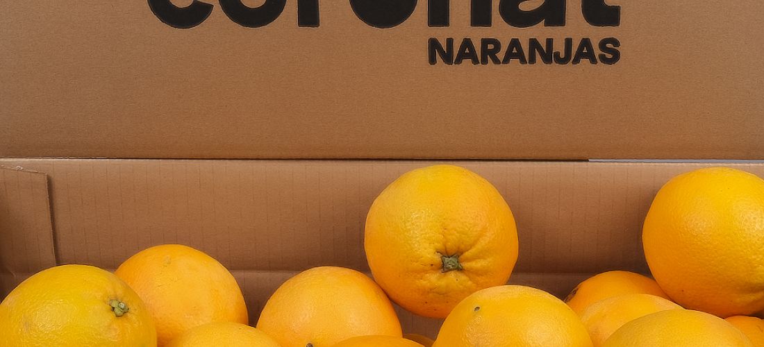 naranjas-coronat-2ba1191c18.jpg
