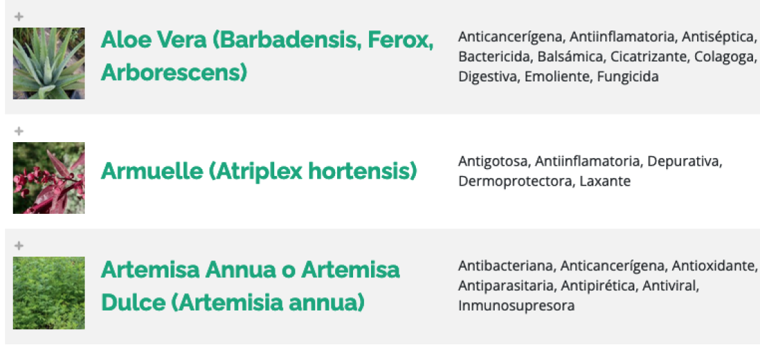 plantas-medicinales-110a589a81.png