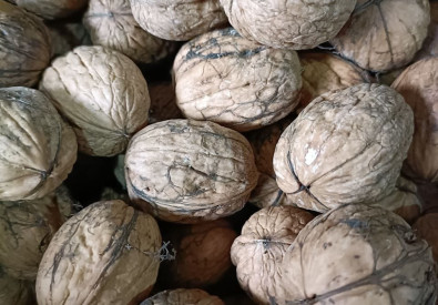 Villaveza-Fruta de Toro- Nueces