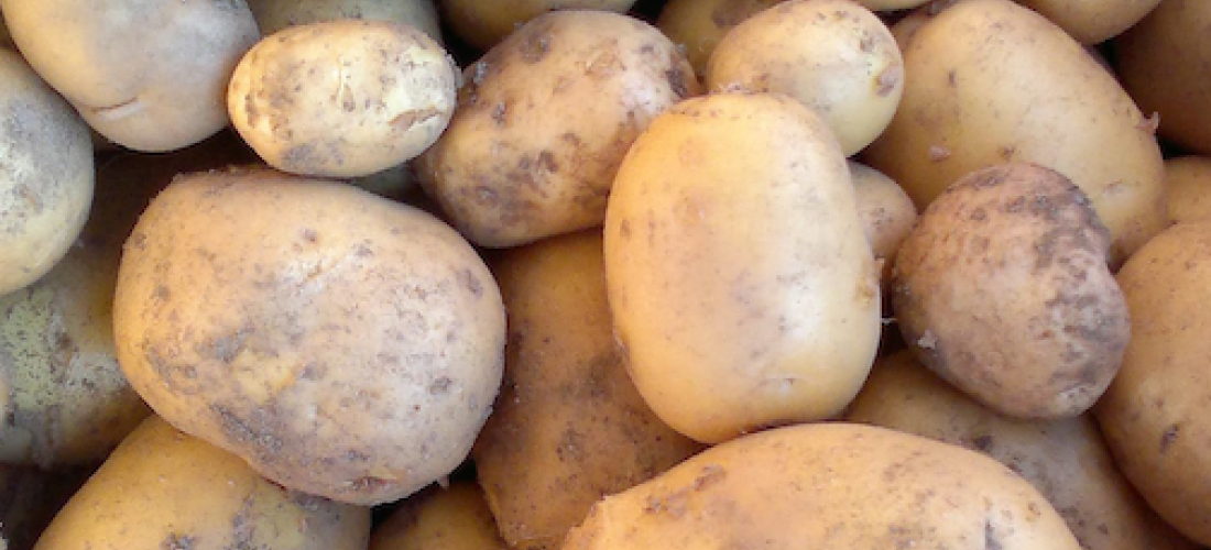 patatas-c7708a6091.png