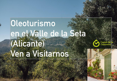 Oleoturismo en el Valle de la Seta (Alicante)