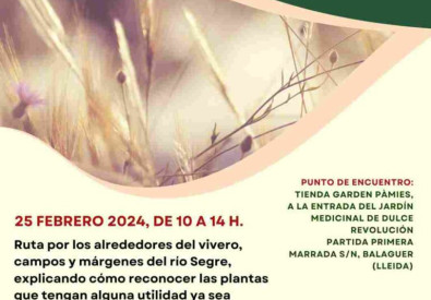 Taller reconocimiento plantas silvestres